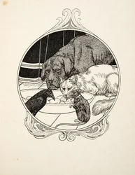 Strana fraternità, da A Hundred Anecdotes of Animals, pub. 1924