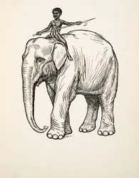 Rimorso, da A Hundred Anecdotes of Animals, pub. 1924