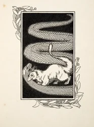 Distruttori di serpenti, da Cento aneddoti di animali, pub. 1924 (incisione)