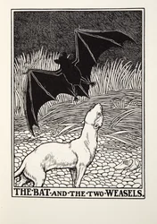 Il pipistrello e le due donnole, dalle Favole di Fontaine