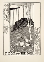 Il gatto e il gallo, da Cento favole di Esopo, pubblicato nel 1903