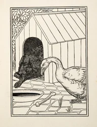 Il cane e l