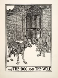 Il cane e il lupo, da Cento favole di Esopo, pub.1903 (incisione)