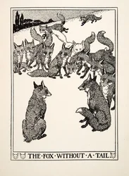 La Volpe senza Coda, da Cento Favole di Esopo, pub.1903