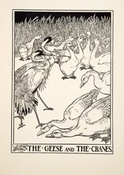 Le Oche e le Gru, da Cento Favole di Esopo, pub.1903