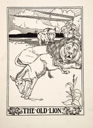 Il vecchio leone, da Cento favole di Esopo, pub.1903