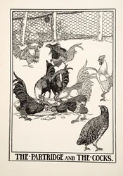La Pernice e i Galli, da Cento Favole di Esopo, pub.1903