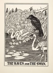 Il corvo e il cigno, da Cento favole di Esopo, pubblicato nel 1903
