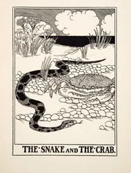 Il serpente e il granchio, da Cento favole di Esopo, pubblicato nel 1903