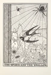 Il ragno e la rondine, da Fontaine Fables, pub. 1905