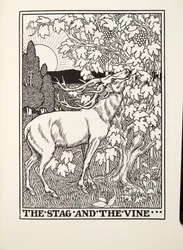 Il cervo e la vite, dalle Favole di Fontaine, pub. 1905