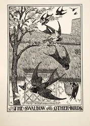 La rondine e altri uccelli, da Cento favole di Esopo, pub.1903
