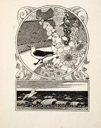 Il gabbiano addomesticato, da A Hundred Anecdotes of Animals, pub. 1924 (incisione)