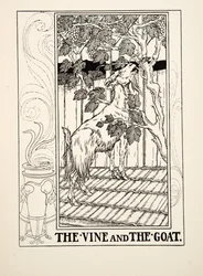 La Vite e la Capra, da Cento Favole di Esopo, pub.1903