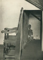Scheletro nell