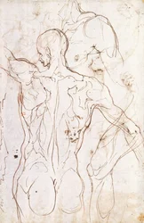 Un Nudo Visto da Dietro, Guardando a Sinistra, e Altri Studi della sua Spalla Sinistra e Gamba Destra