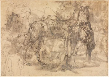 Schizzi di animali (verso)