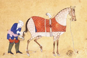 Un groom con un cavallo, 1694