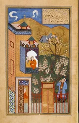 Un folle taglia il ramo su cui è appollaiato sotto l