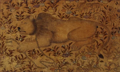 Studio di un leone, XVI secolo