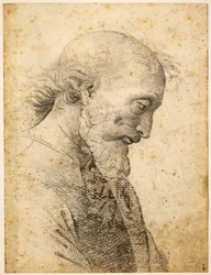 Busto d