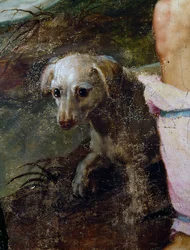 Cane (dettaglio)