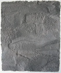 Segni di vita XVI