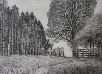 Il sentiero del bosco - Primavera