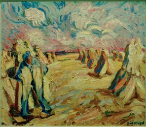 Campo di raccolta