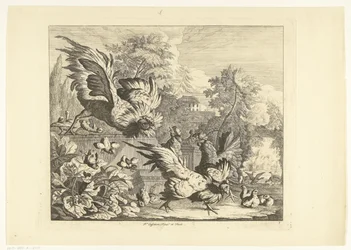 Combattimento di galli Vari uccelli (titolo della serie)