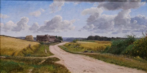 Strada di campagna in Zelanda
