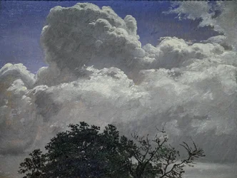 Studio di cielo e cime di alberi, 1840 circa (olio su cartone)