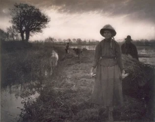 Raccolta del fieno nella palude, Vita e paesaggio sui Norfolk Broads, 1886