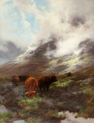 La Testa della Valle, 1894