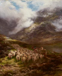 Verso i pascoli della valle