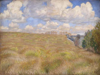 Un campo di segale ondeggiante