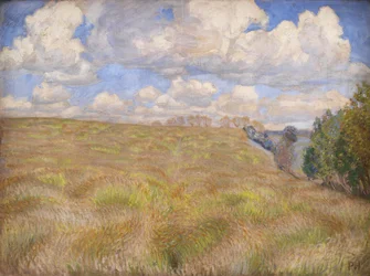Un Campo di Segale Ondeggiante