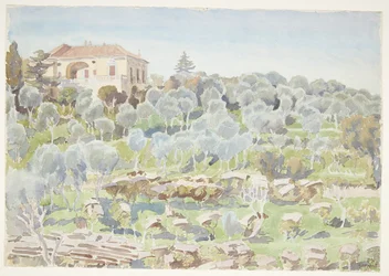 Pendio di montagna con ulivi e una villa