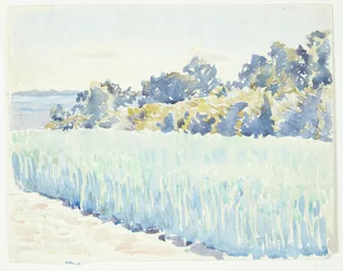 Paesaggio di Fionia. Campo di grano vicino a un bosco