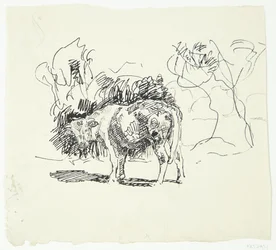 Toro in piedi