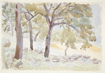 Margine di una foresta