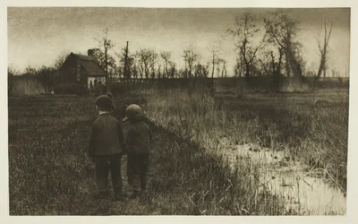 Un rospo sul sentiero: inizio primavera a Norfolk