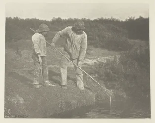 Raccolta di anguille nelle acque del Suffolk