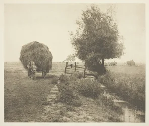 Nel fienile (Norfolk)