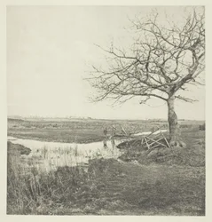 Marzo senza foglie (Suffolk)