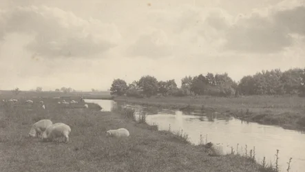 Sul fiume Bure, 1886 (foto)