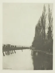 Pioppi e pollastri sul Lea, vicino a Broxbourne