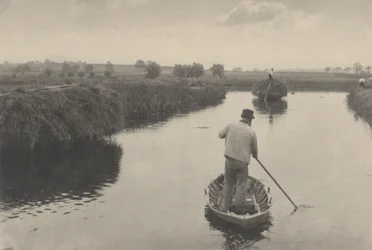 Quantificazione del fieno di palude, 1886 (foto)