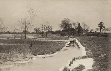 Il bordo del lago
