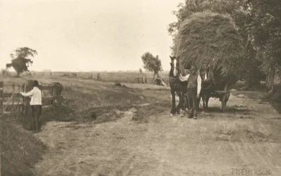 La ricchezza delle paludi